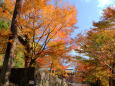 紅葉の勝尾寺・二階堂周辺