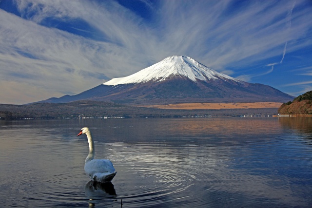 富士山