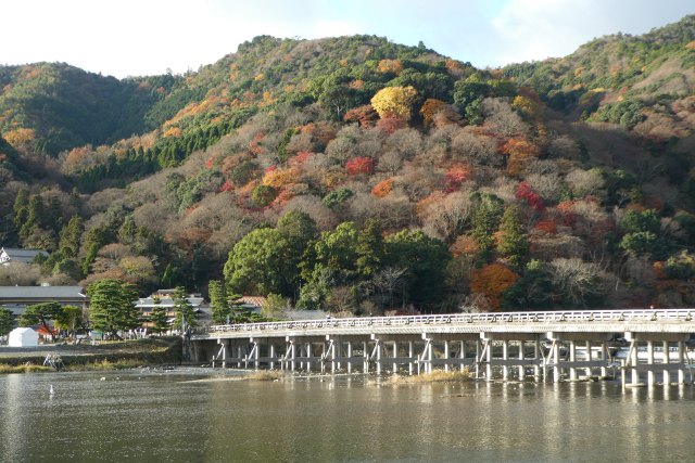 晩秋の渡月橋