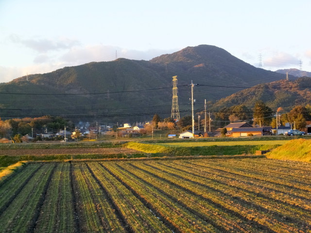 夕暮れの麦畑と山里