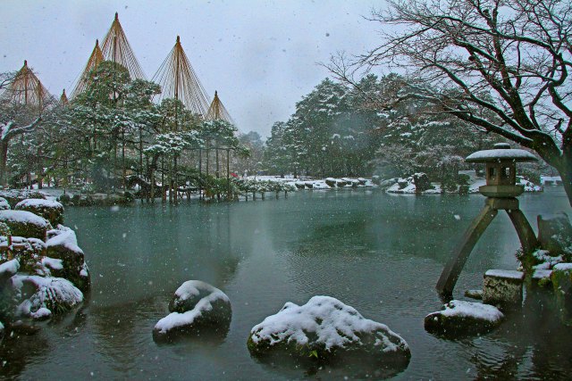 雪吊り兼六園