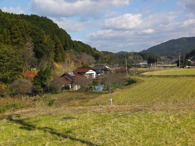 田舎の初冬風景