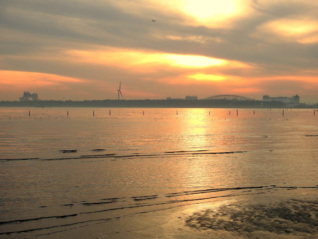 葛西臨海公園の夕景