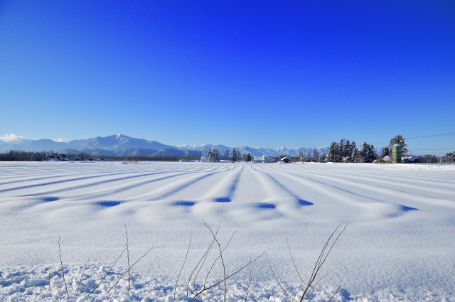 吹雪のち晴れ