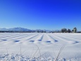 吹雪のち晴れ