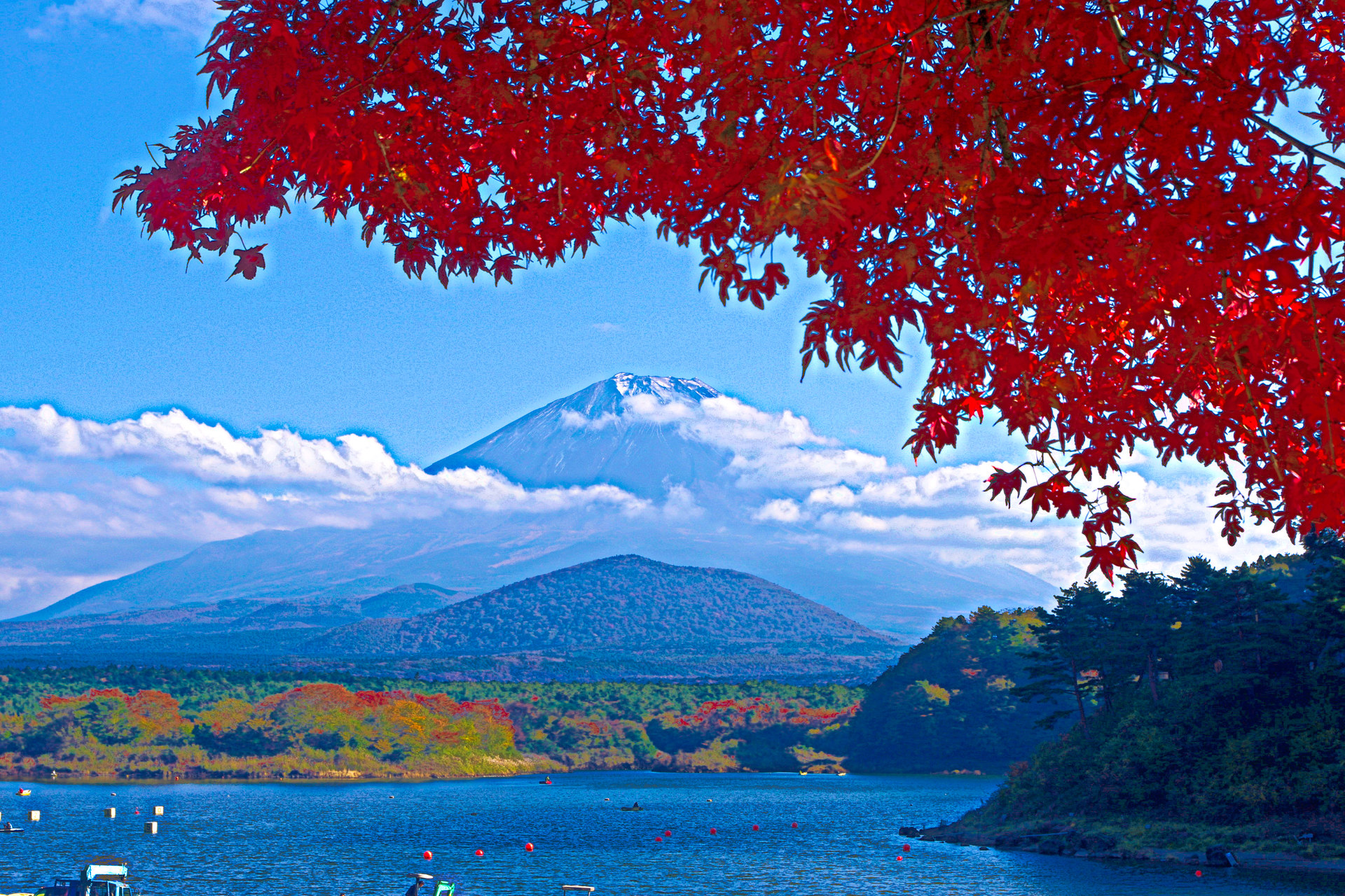 日本の風景 回顧16秋 富士山と紅葉 壁紙19x1280 壁紙館