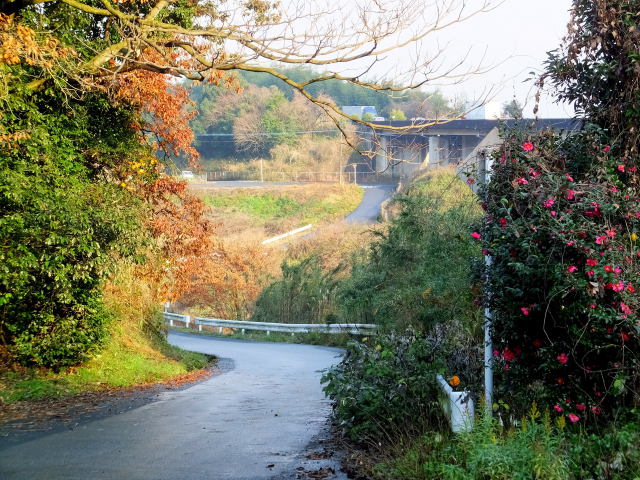 田舎道で