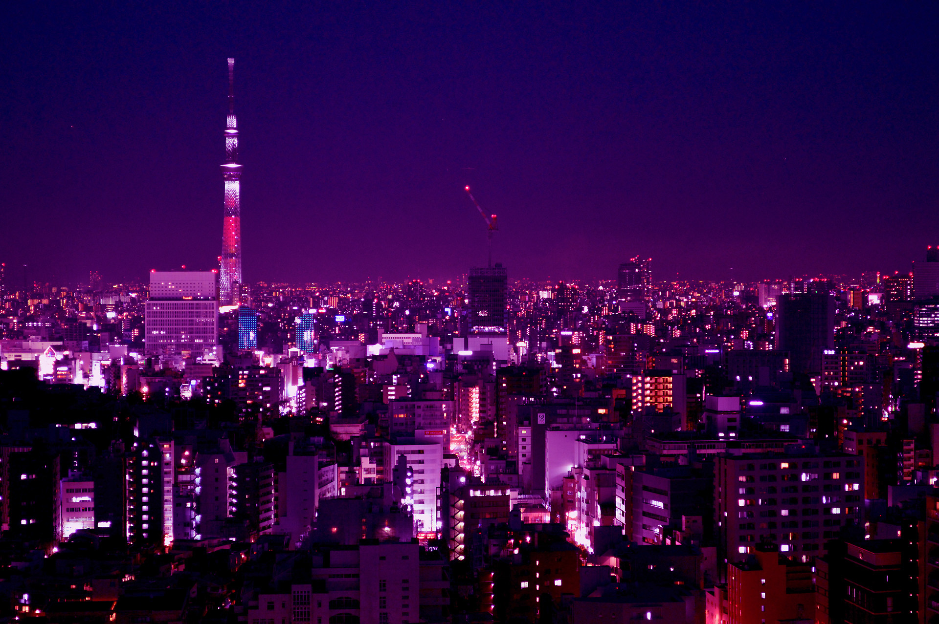 夜景 花火 イルミ 夜のスカイツリー 壁紙19x1277 壁紙館