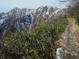 初冬の柏原新道