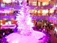 XmasTree Pinkイルミ