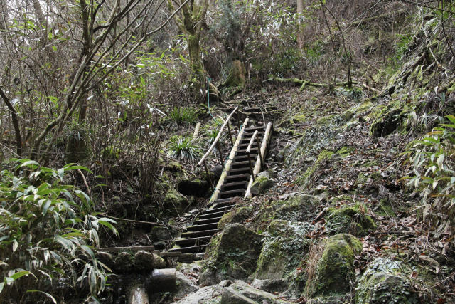 金剛登山道・ハシゴ場