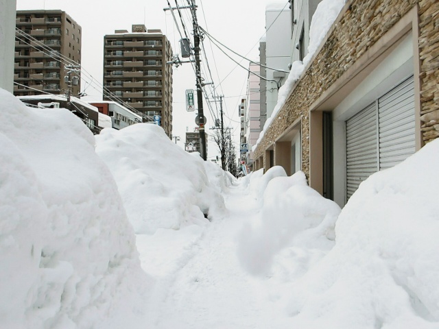 札幌の積雪