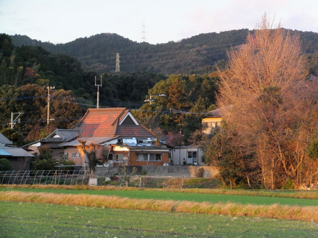 冬の夕暮れ