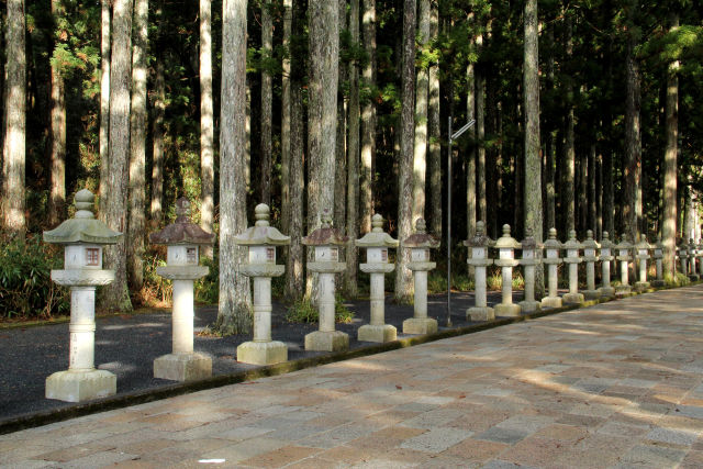 高野山・杉と灯籠の整列