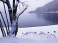 雪の中禅寺湖