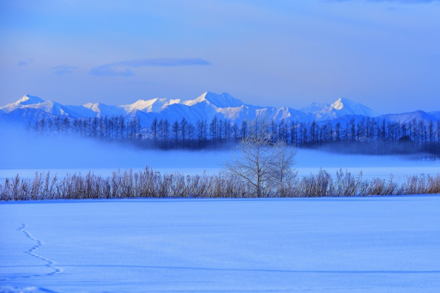 厳冬の北海道