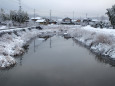 雪の朝