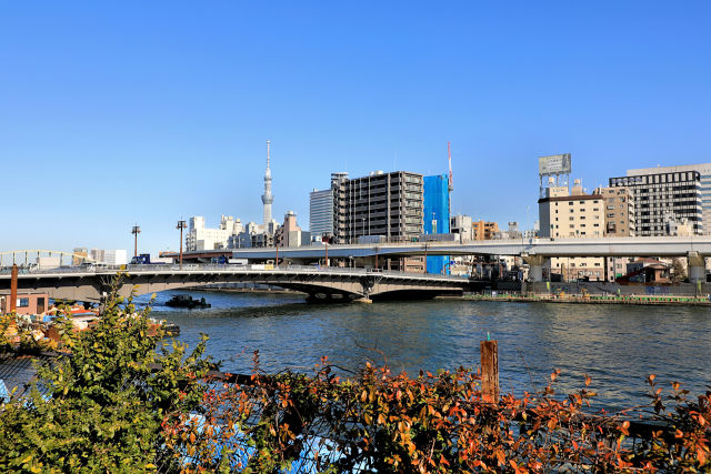 両国橋情景