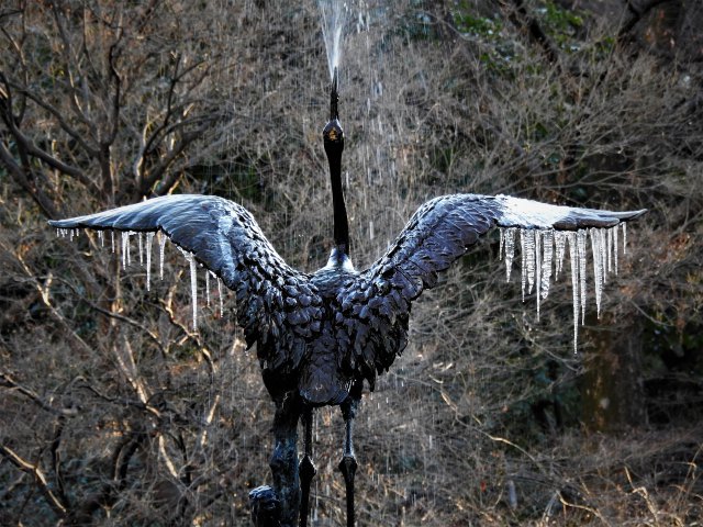 氷柱を纏った鶴