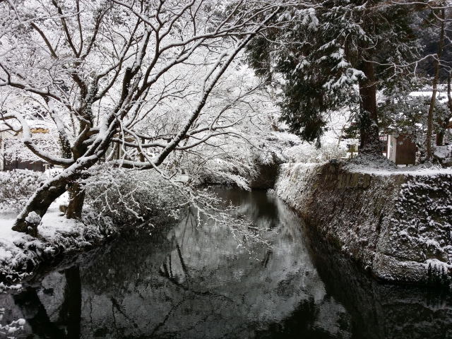 冬の東照宮