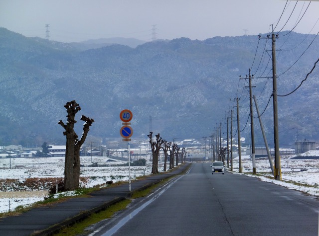 田舎道で