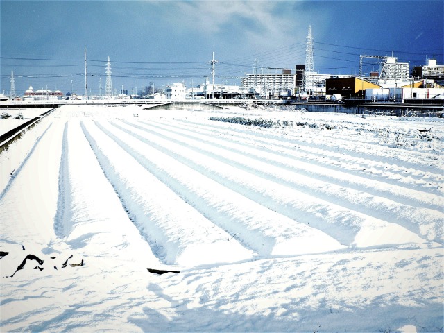 雪景色