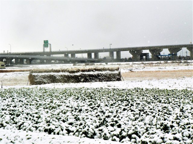 雪景色