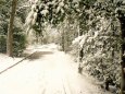 雪の散歩道