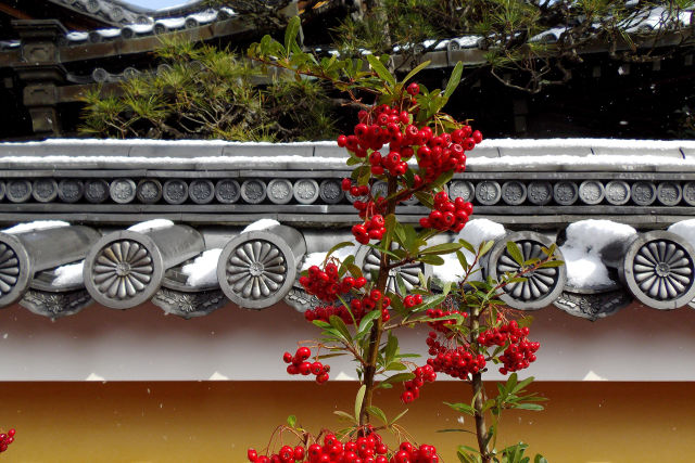 雪の中山寺・花参道