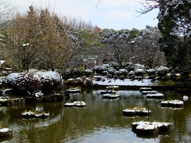 雪の公園