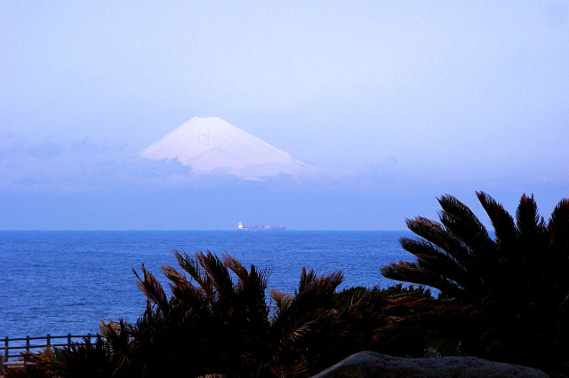 大島から富士山遠望