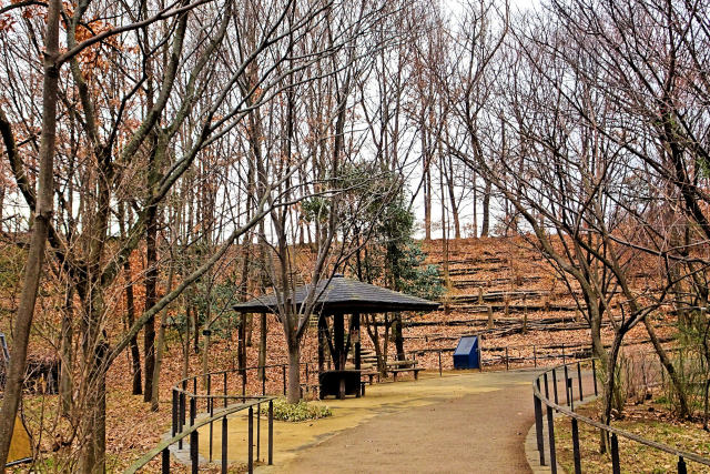 冬の赤羽自然観察公園