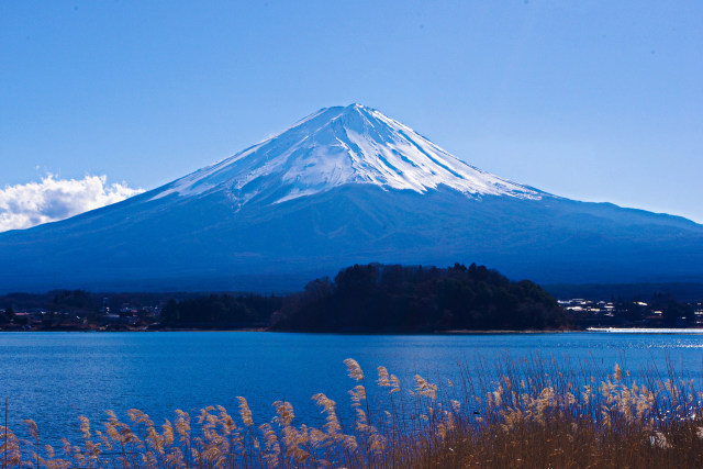 河口湖からの富士山