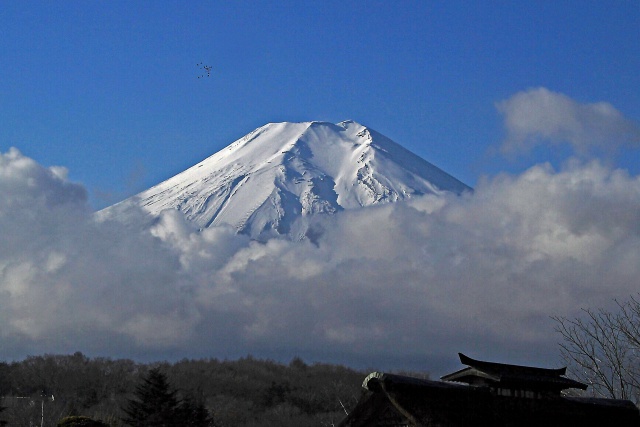 忍野八海の富士