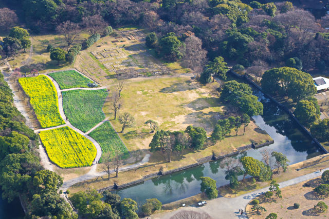 浜離宮恩賜庭園