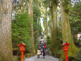 箱根神社参道