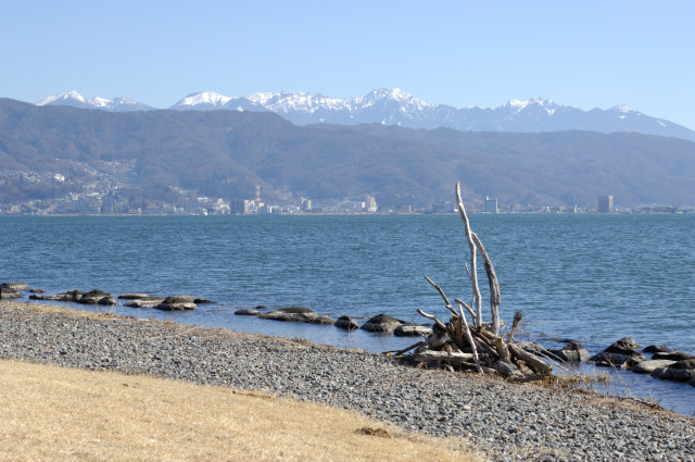 今年は暖冬/諏訪湖・八ヶ岳