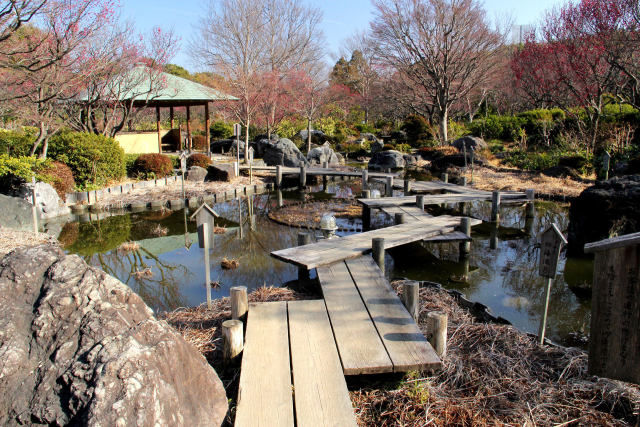 大仙公園・日本庭園・杜若池