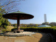 大仙公園・日本庭園・傘亭