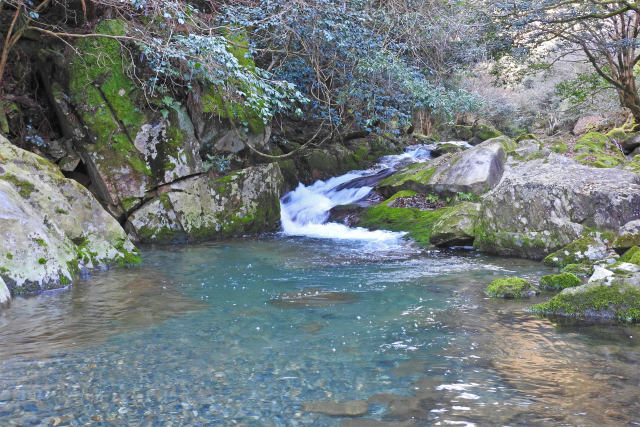 赤波川渓谷-冬22