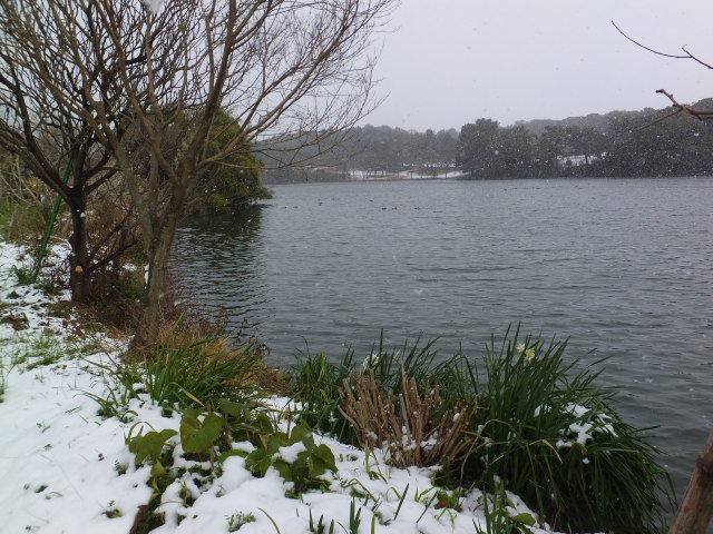 雪日和の朝に