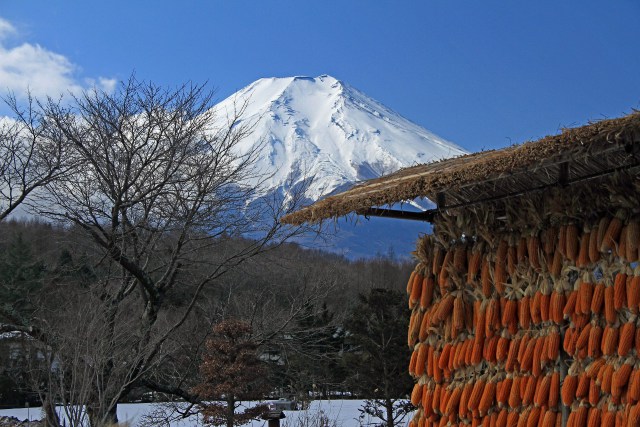 忍野の富士