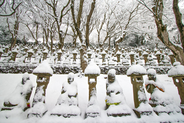 長慶寺の五百羅漢