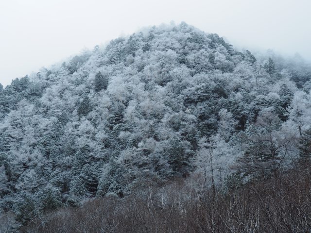 雪の朝