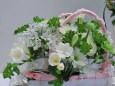 白い花の贈物