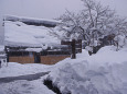 白川郷 雪景色