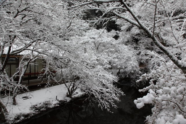 雪の松平東照宮