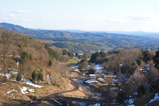 残雪の谷地田