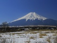 忍野の富士