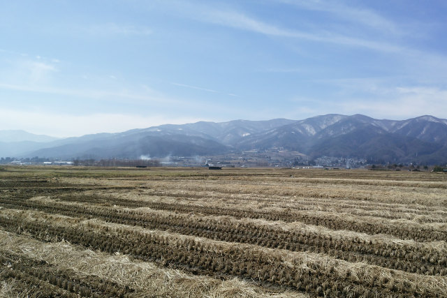 波田の開拓地